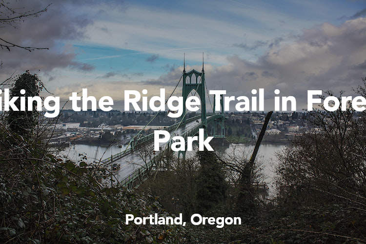 portland places to visit in winter