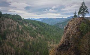 Wilson River Trail