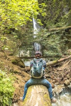 Hike to Nisene Marks' Maple Falls