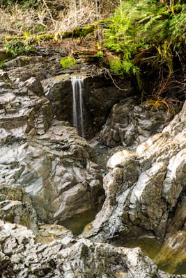 Hike Little Qualicum River and Falls