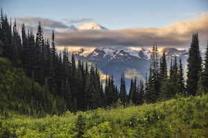 Spider Gap to Buck Creek Pass