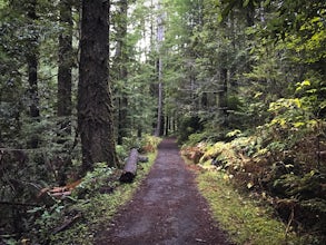 Fern Canyon Scenic Trail