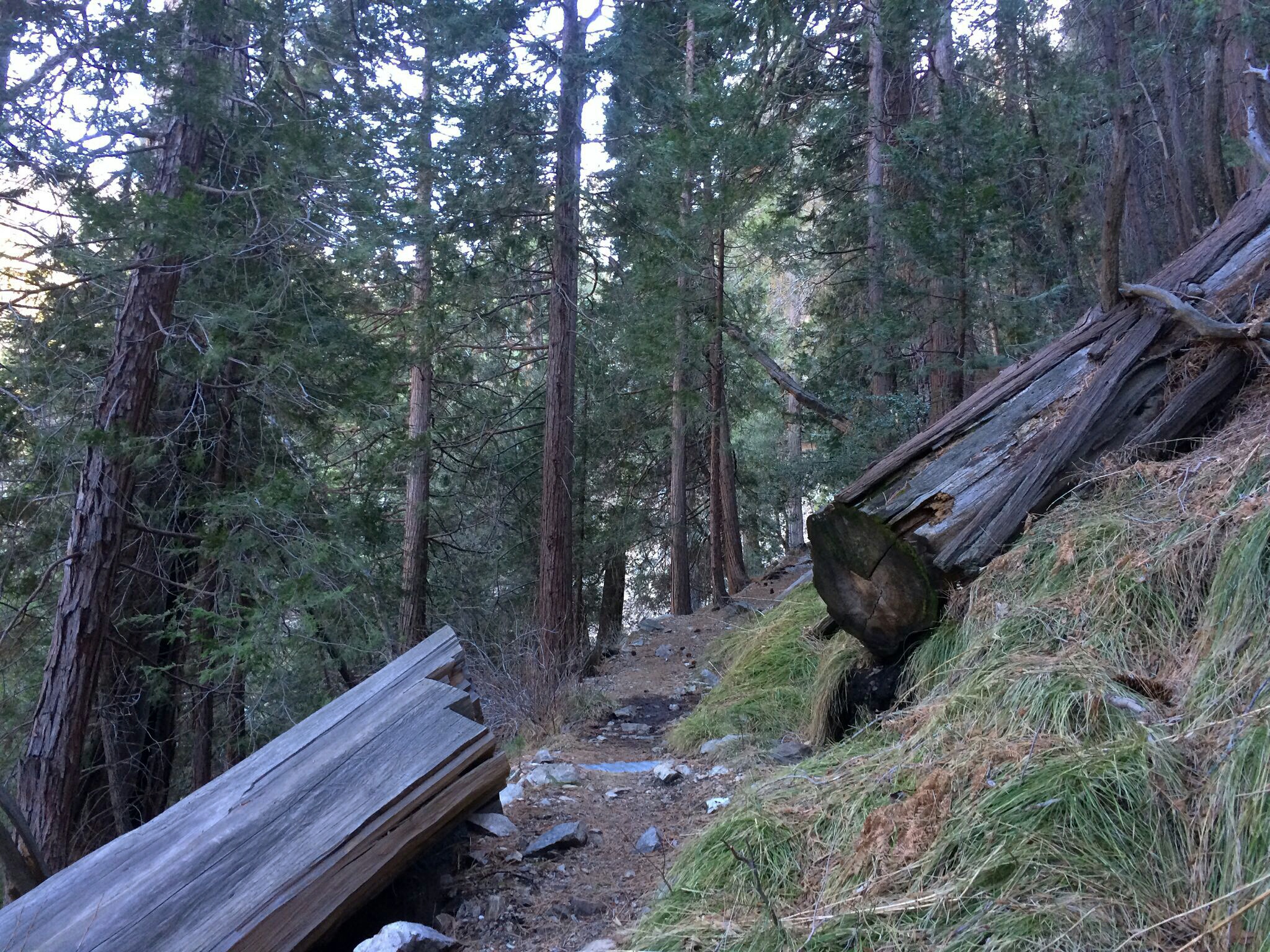 Cooper Canyon Falls via Burkhart Trail