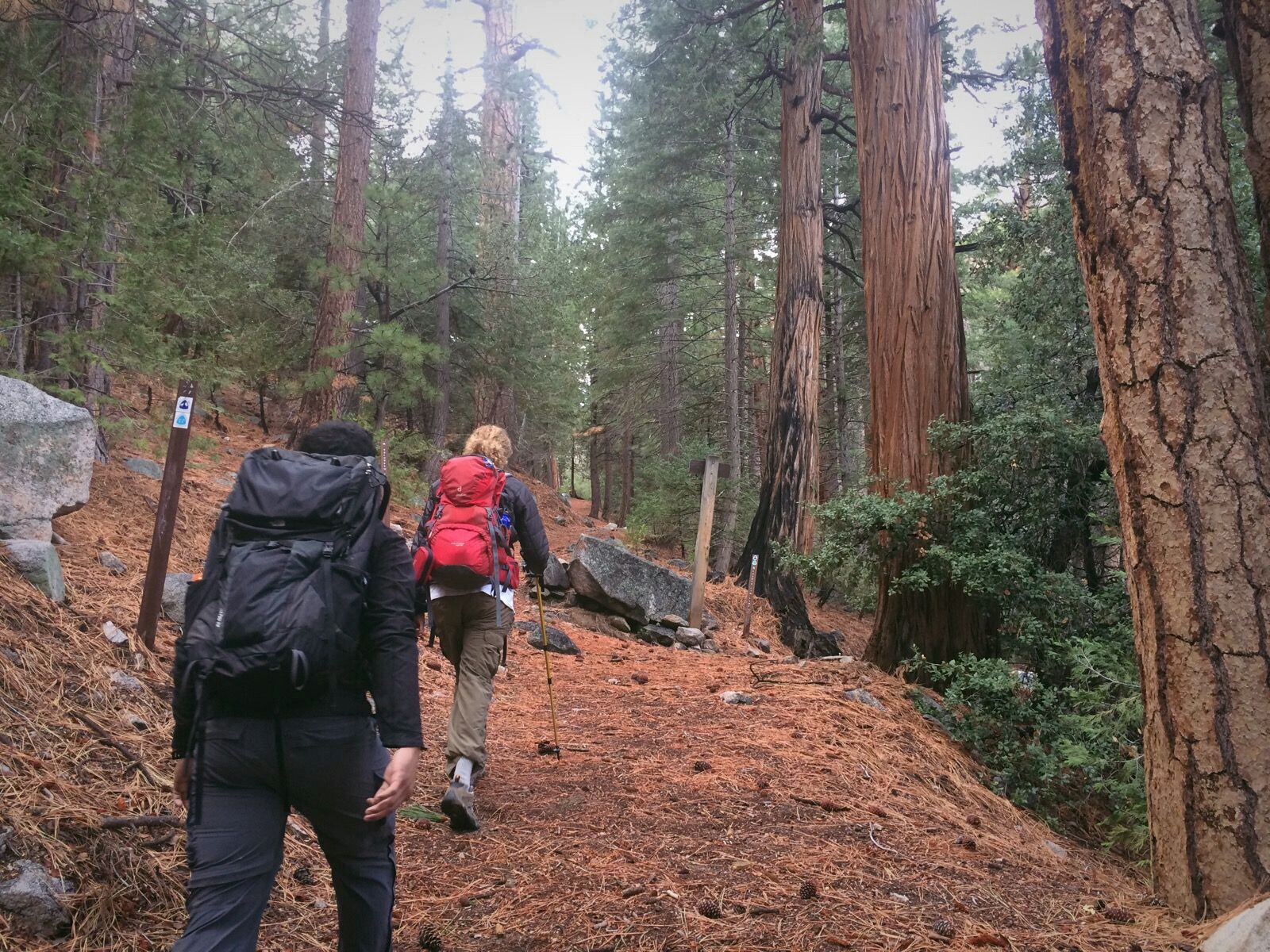 Cooper Canyon Falls via Burkhart Trail