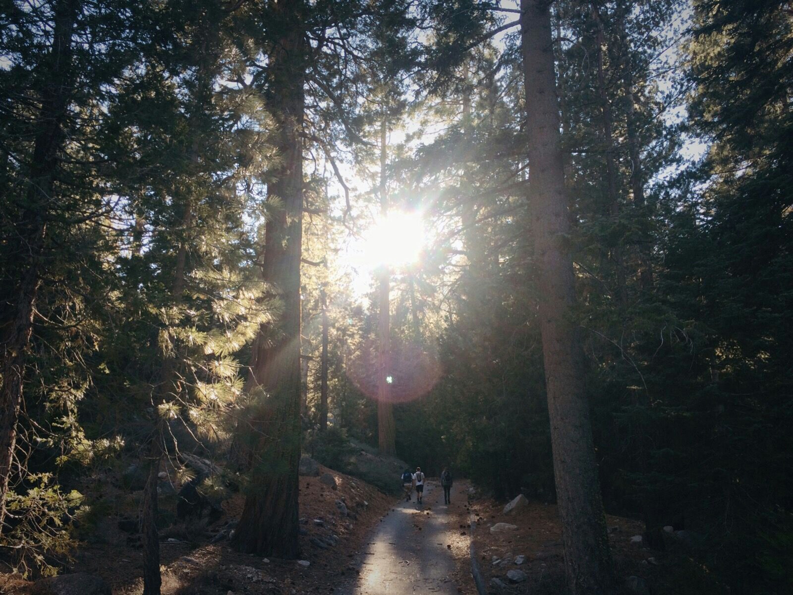 Cooper Canyon Falls via Burkhart Trail