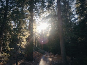 Cooper Canyon Falls