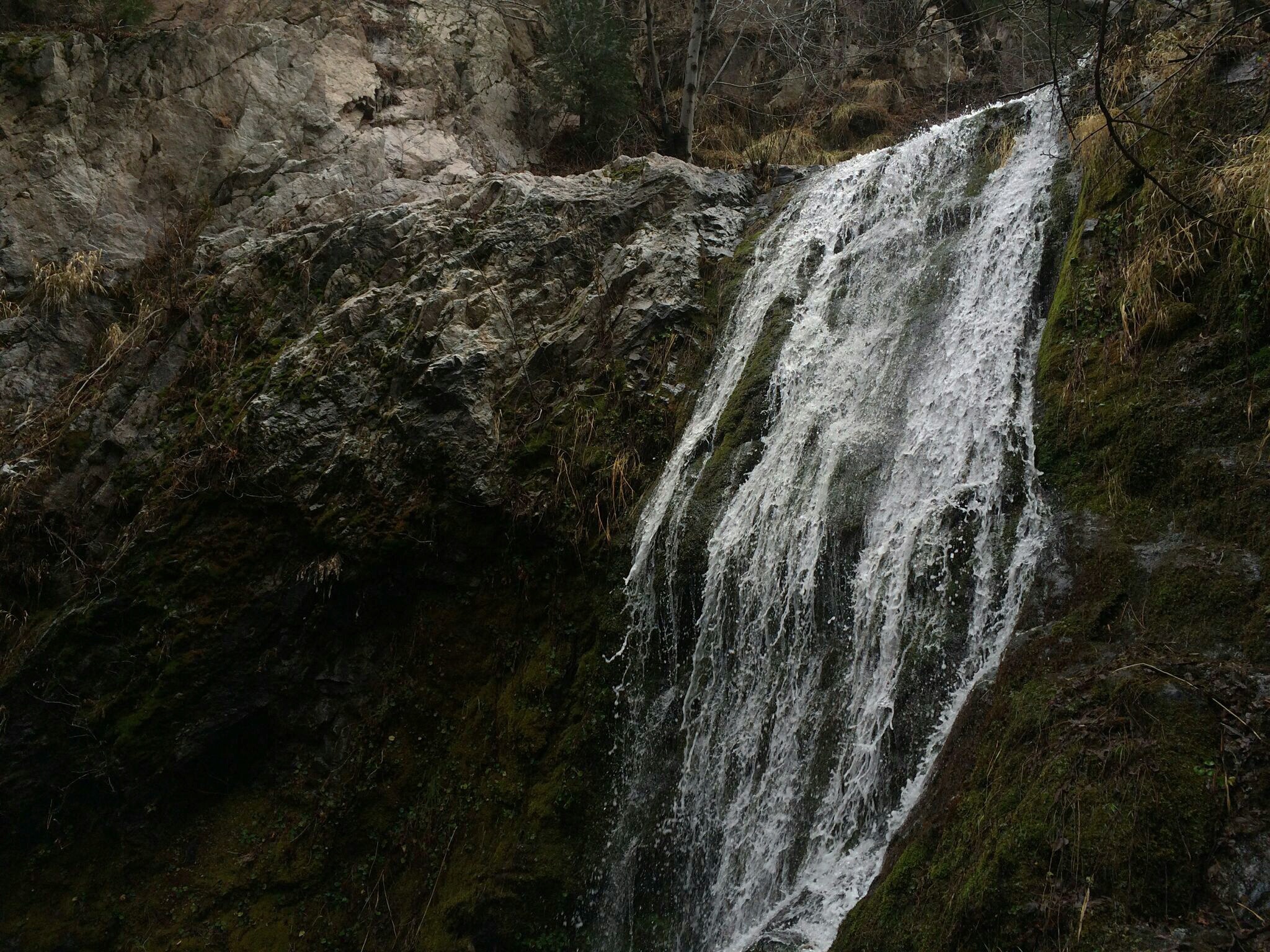 Cooper Canyon Falls via Burkhart Trail