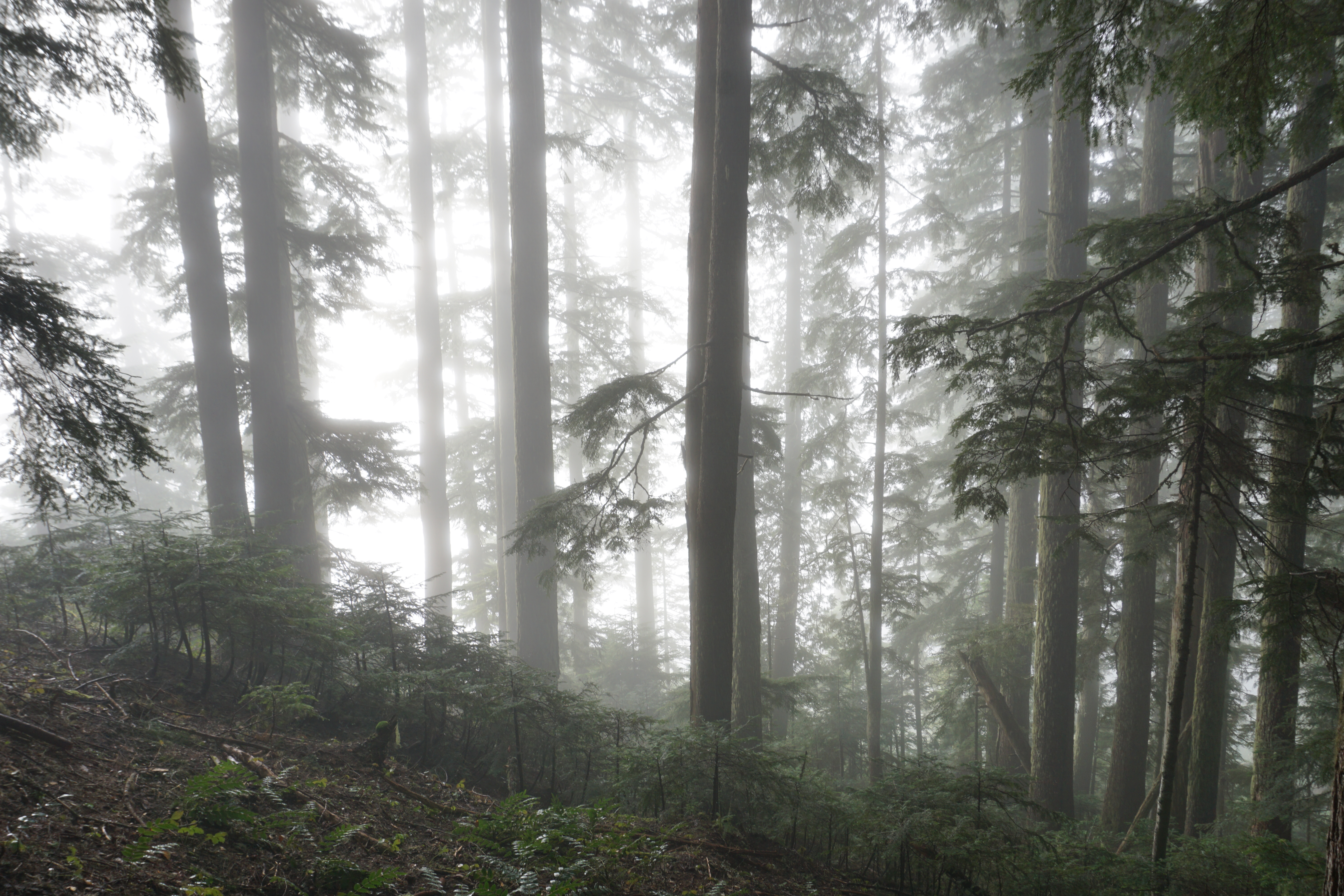Beckler Peak