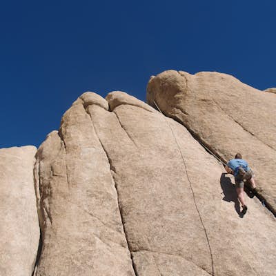 Rock Climb Locomotion in Joshua Tree National Park