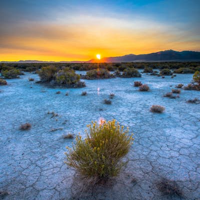 Desert Photography Exploration