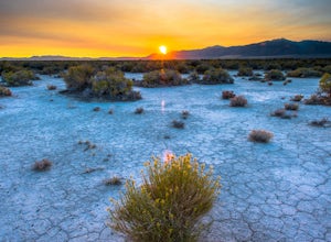 Desert Photography Exploration