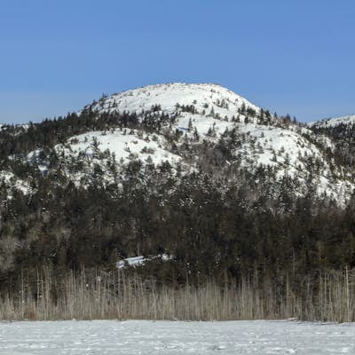 Hike Parkman Mountain