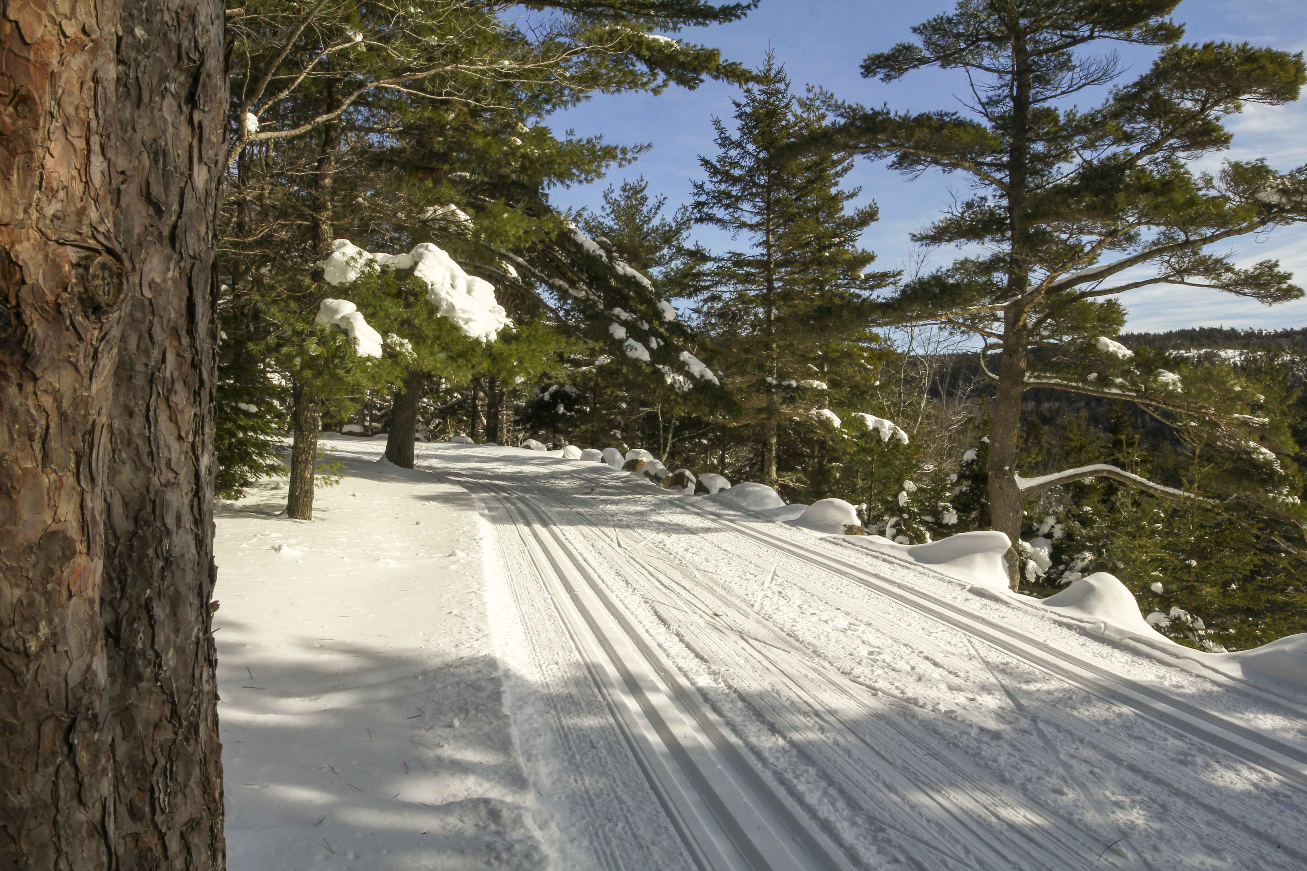 Parkman Mountain