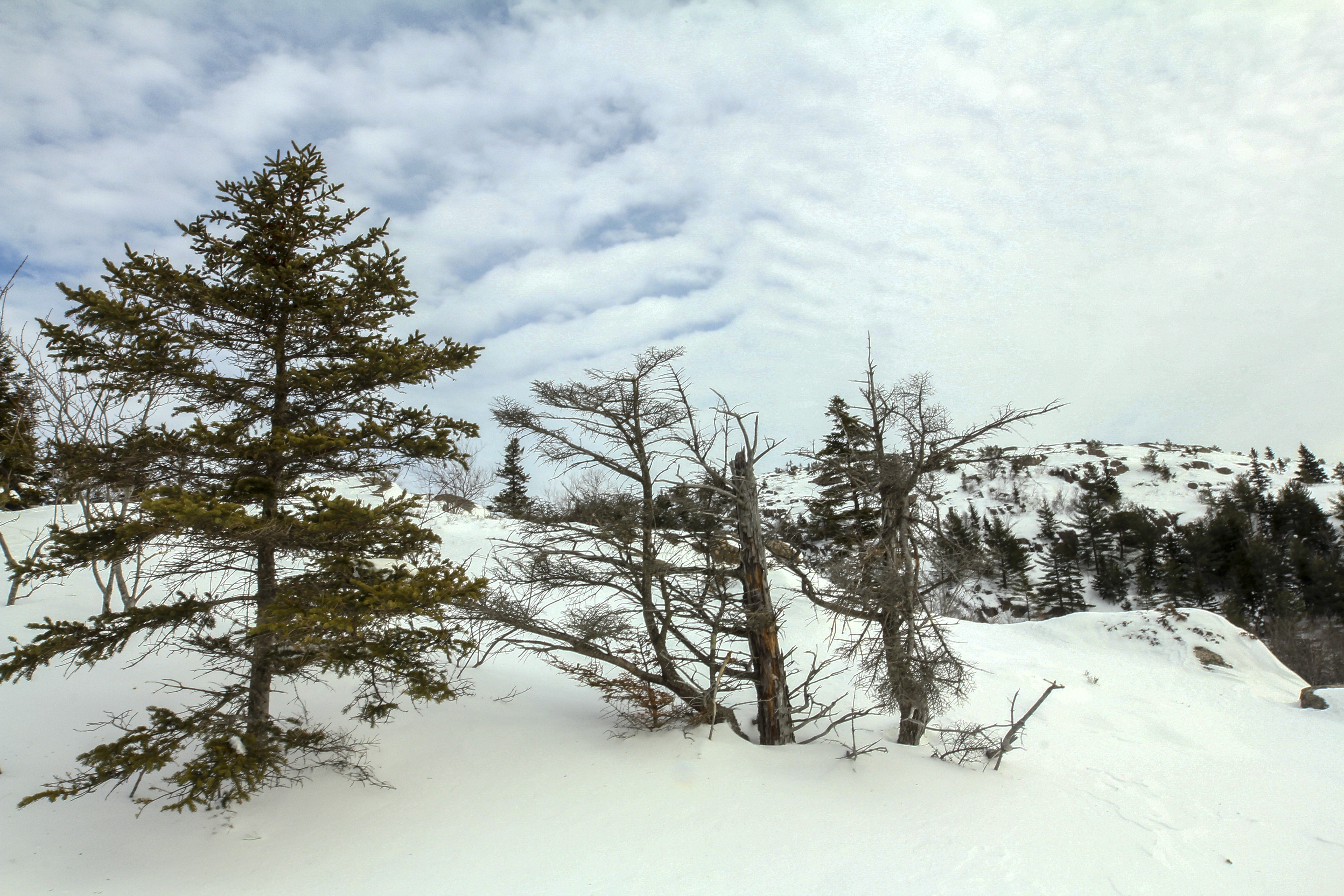 Parkman Mountain