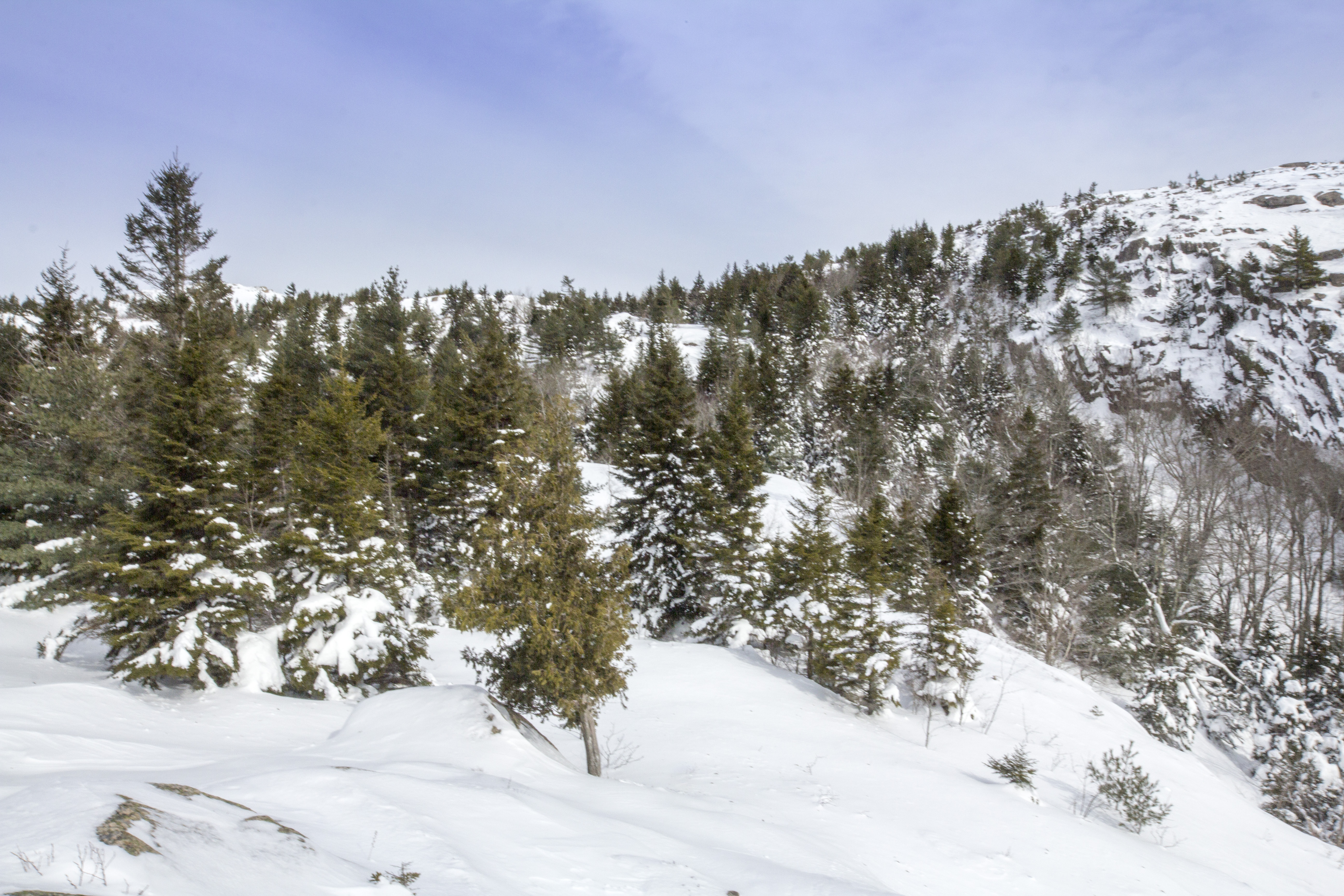 Parkman Mountain