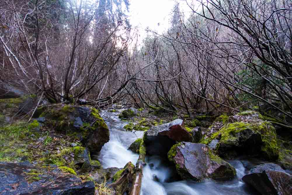 Tamanawas Falls