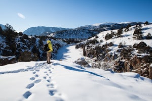 Is This The Next Winter Activity You'll Try?