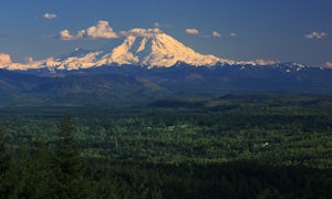 5 Trail Runs For Busy Seattleites 