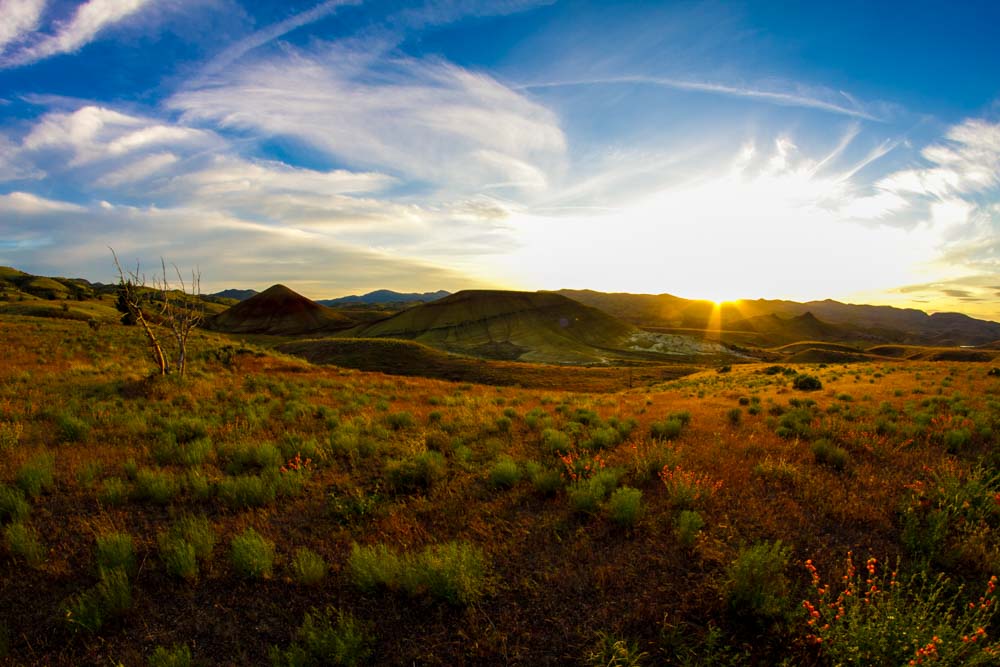 Photograph the Painted Hills
