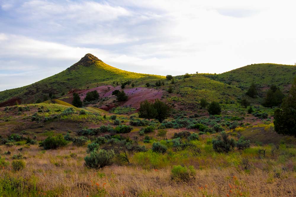 Photograph the Painted Hills