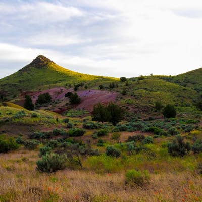 Photograph the Painted Hills