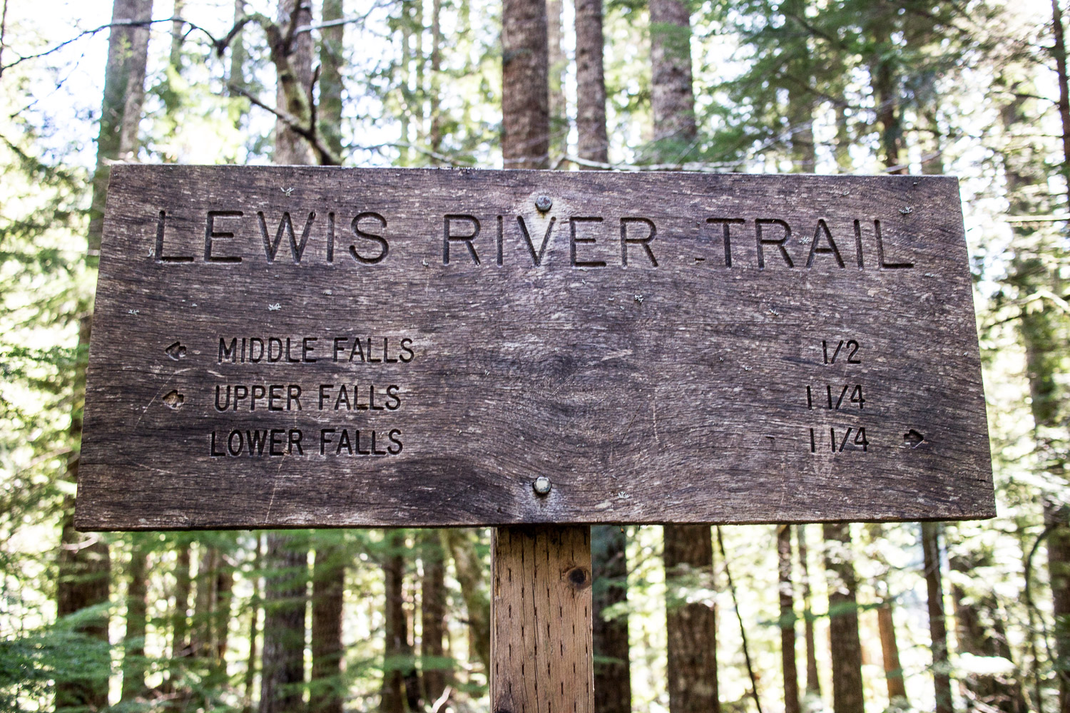Lewis River Falls