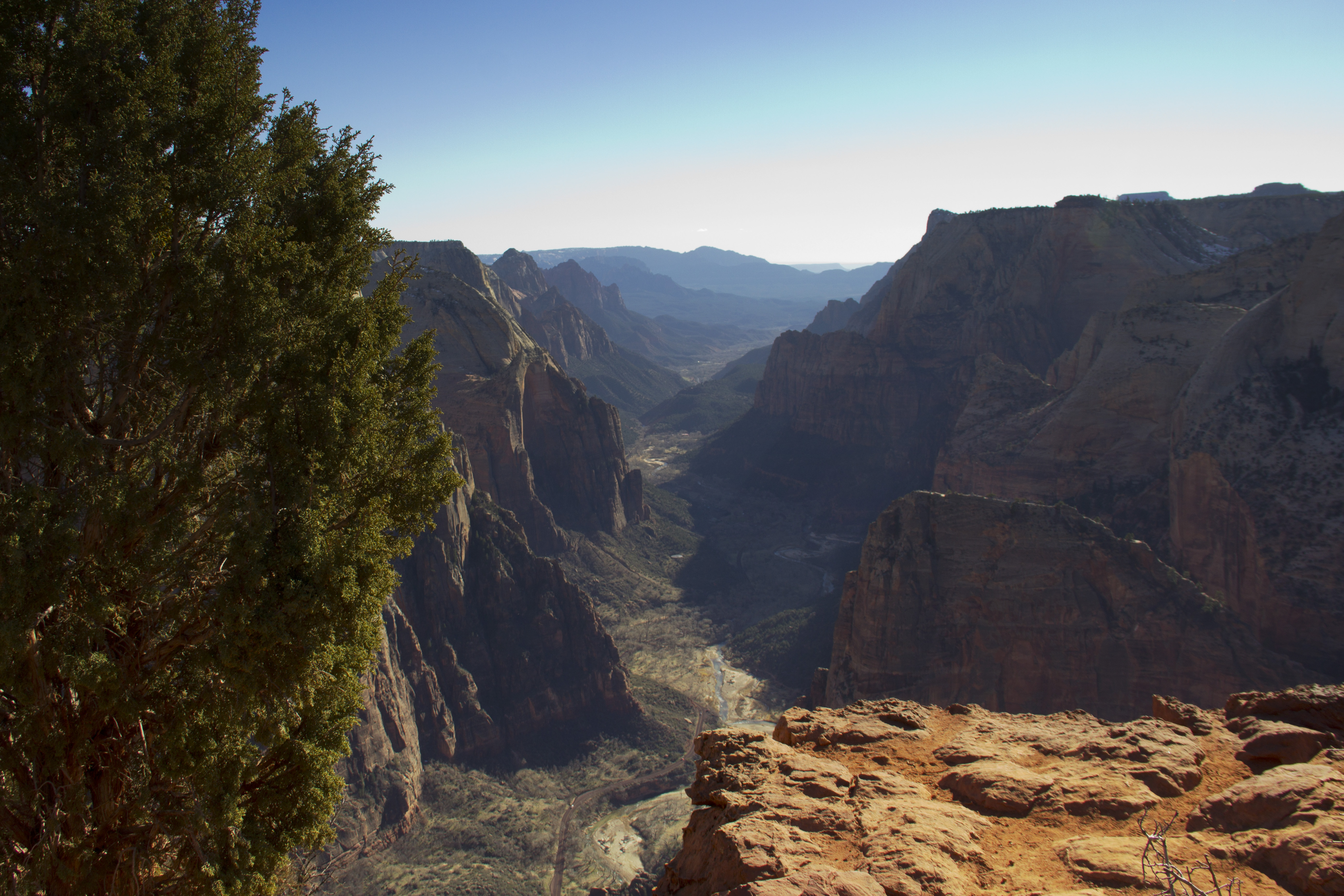 Hike Observation Point