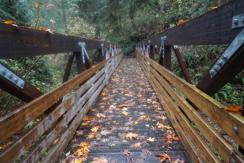 Trail Run in Coal Creek Park, Bellevue, Washington