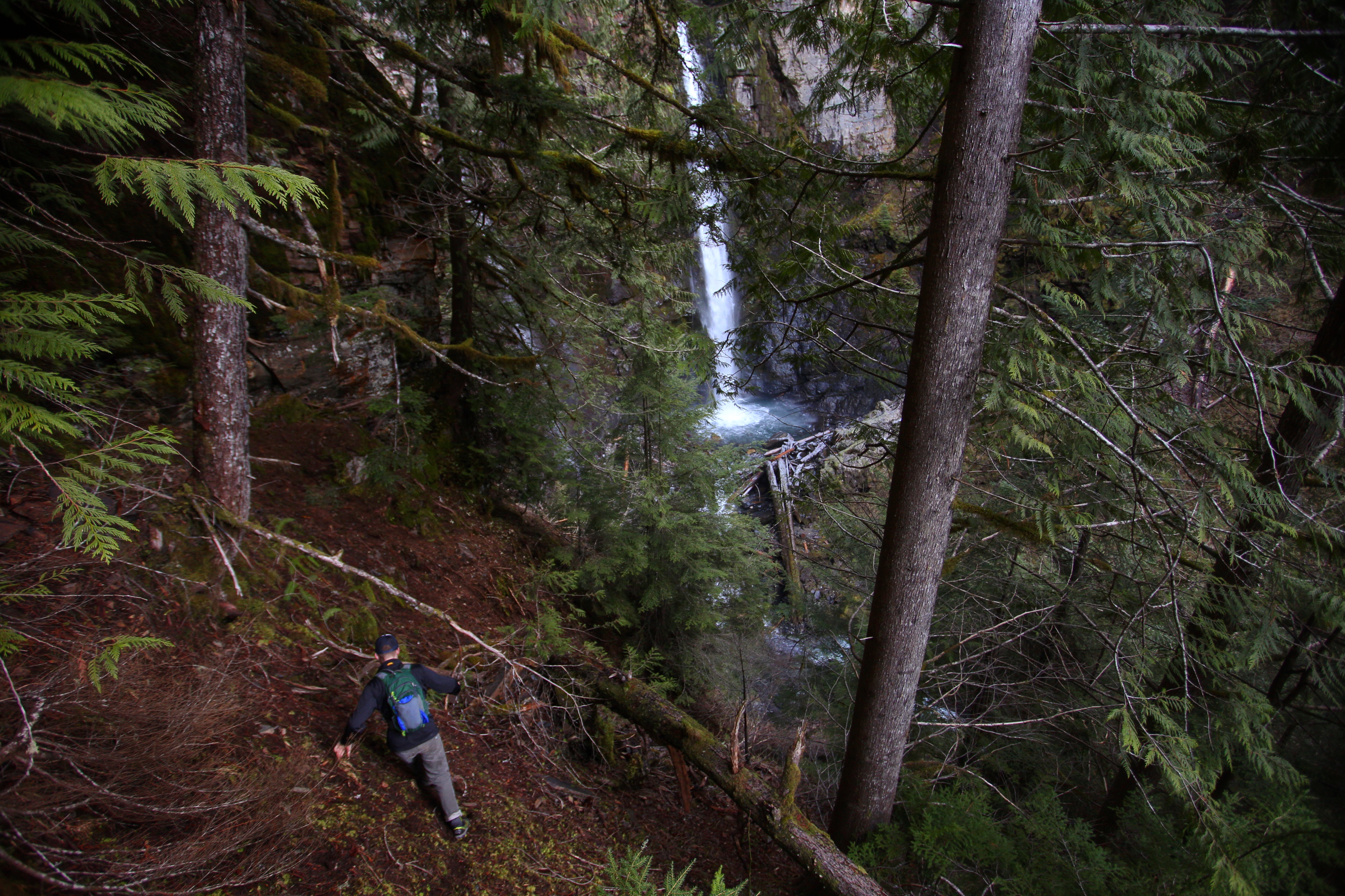 Hike to Sholes Creek Falls