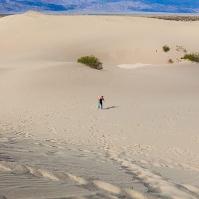 Sandboarding the Mesquite Sand Dunes