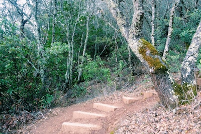 Hike the Lake Berryessa Loop, Stebbins Cold Canyon Reserve Trail