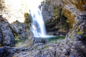 Salmon Creek Trail to Spruce & Estrella Camps