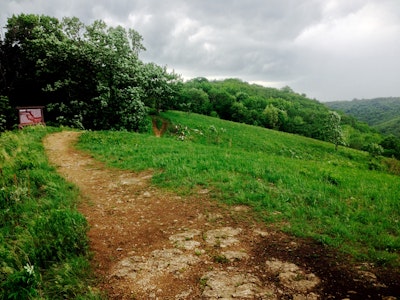 Hike to King's Bluff in Great River Bluffs State Park , King's Bluff
