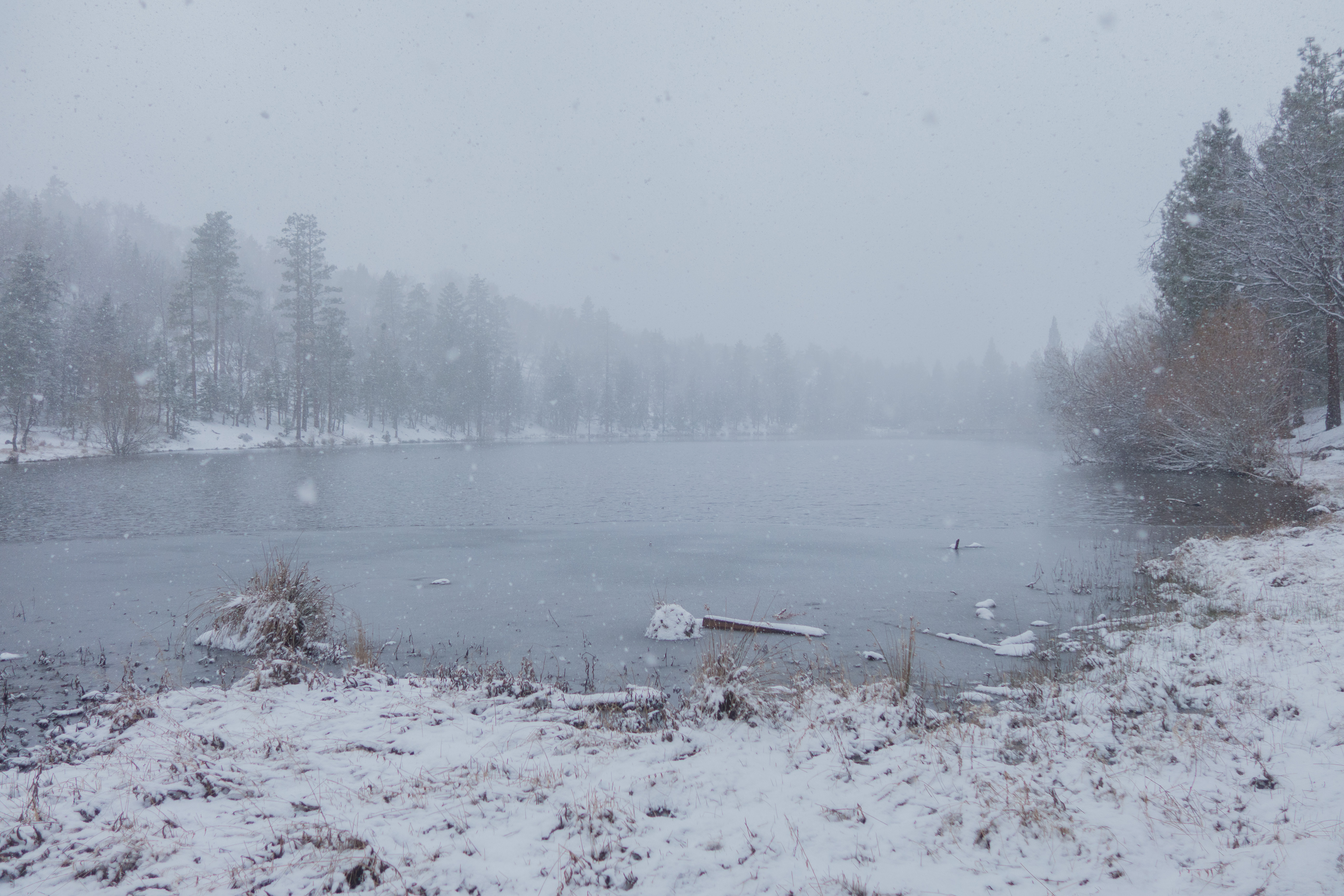 Jenks Lake