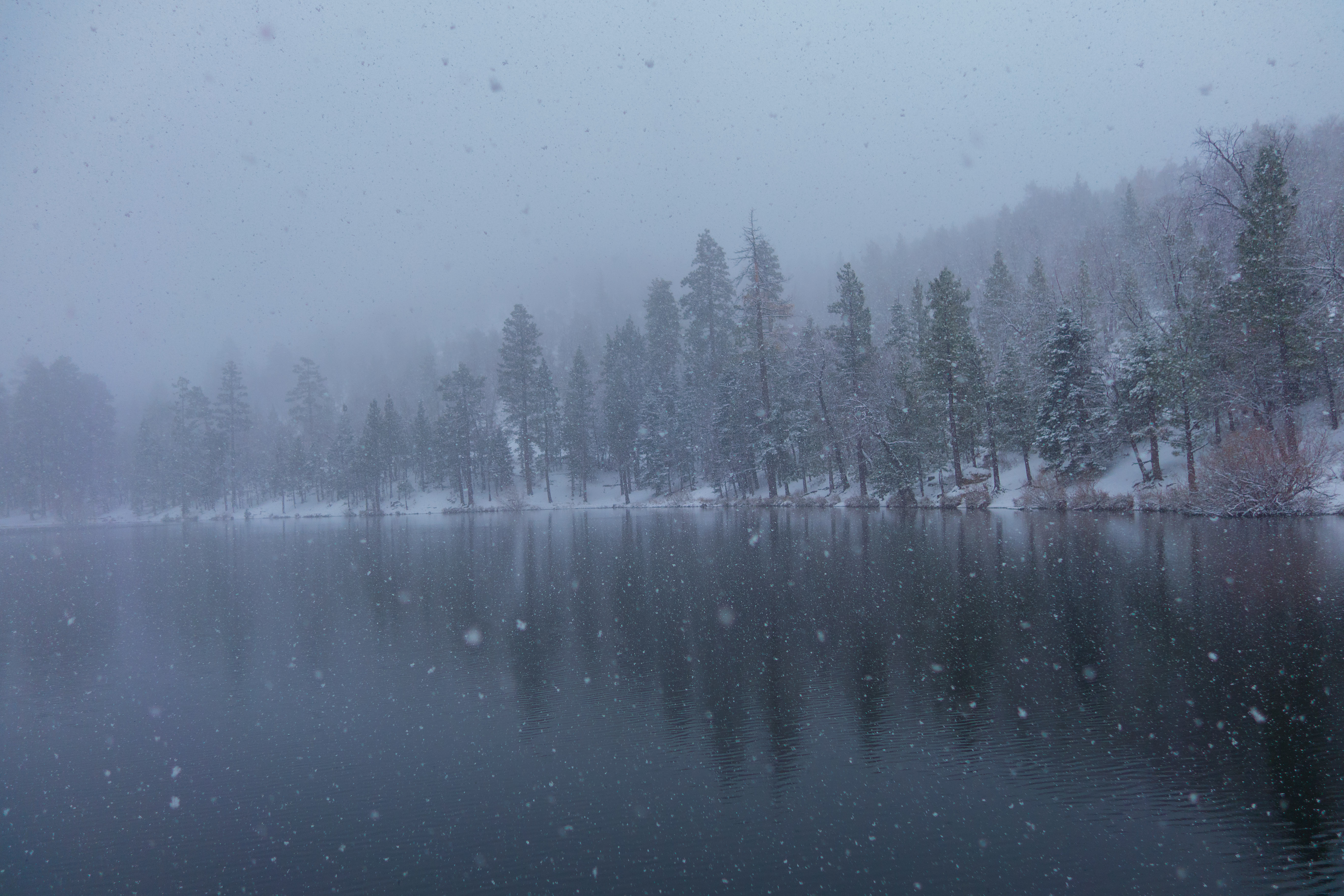 Jenks Lake