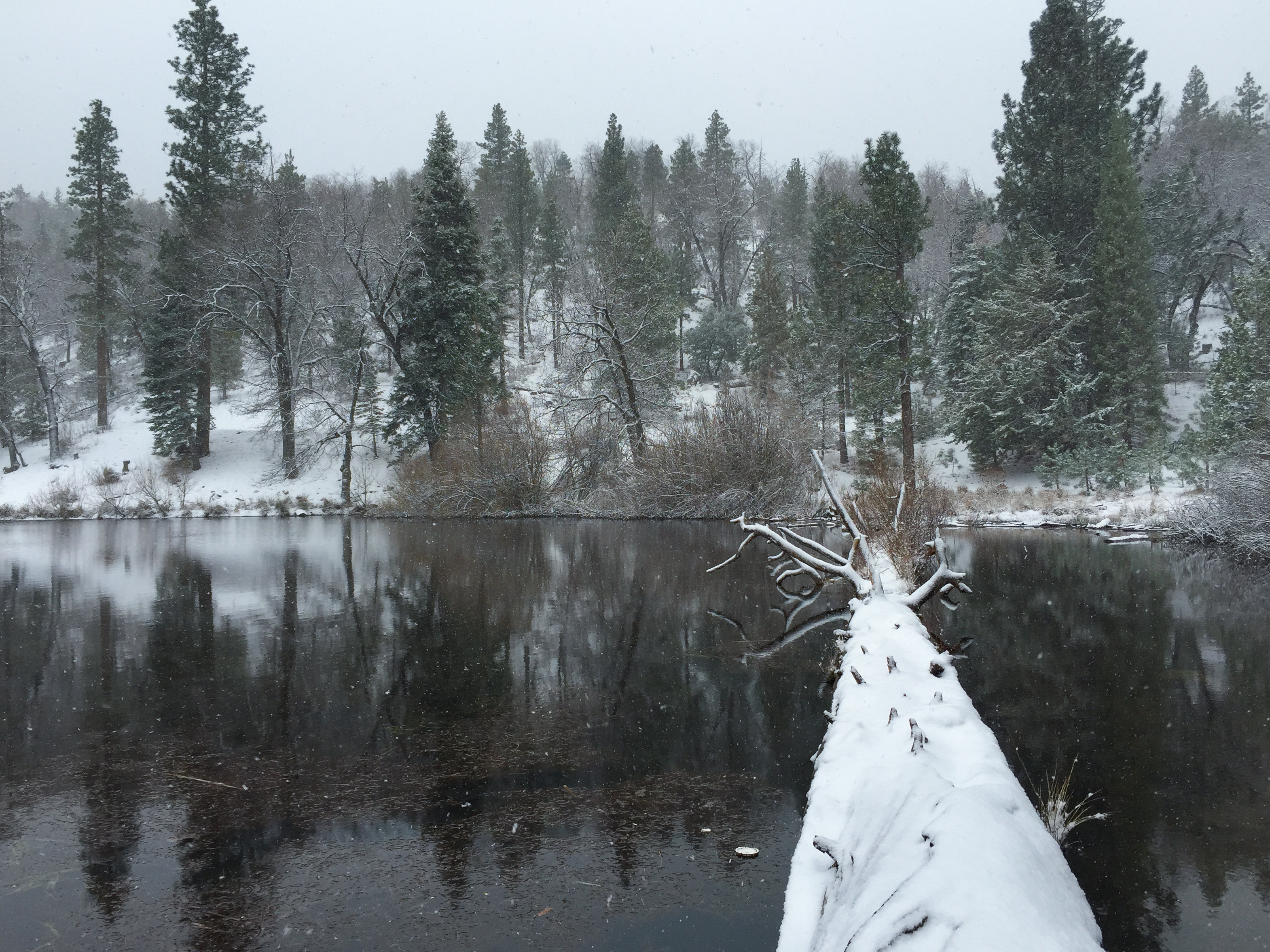 Jenks Lake