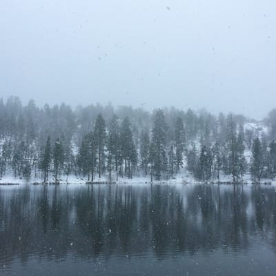 Winter Hike Around Jenks Lake