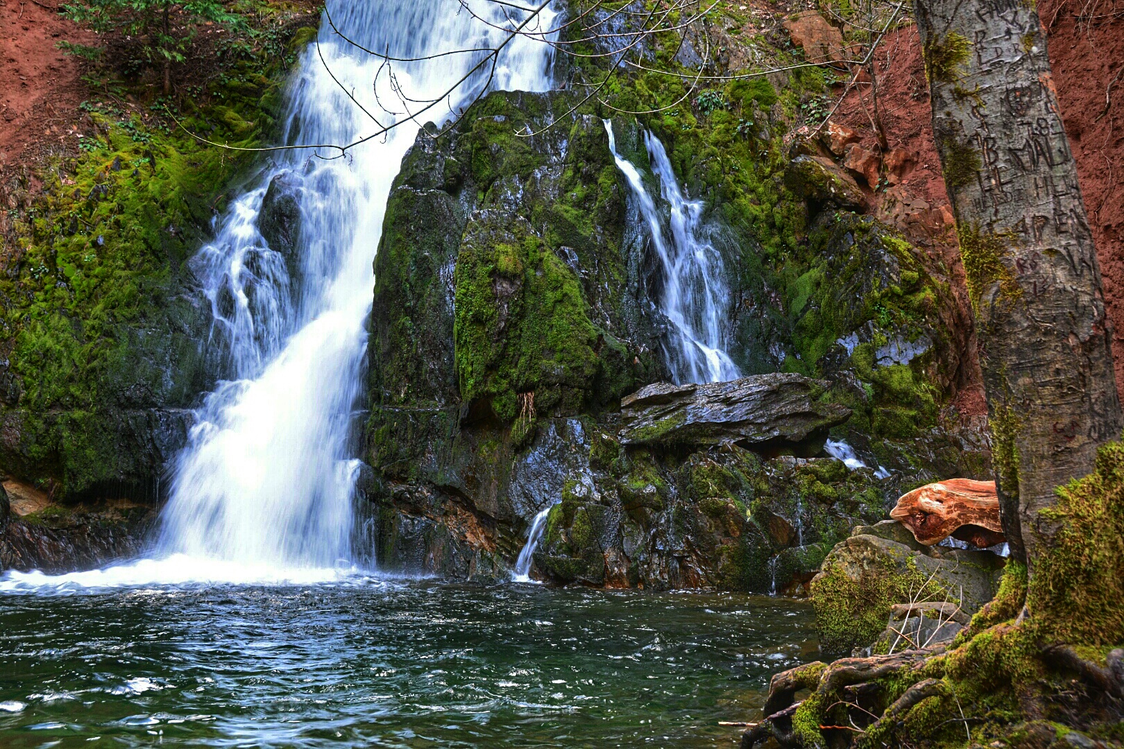 Jenkinson Lake Loop Trail at Sly Park , Pollock Pines, California