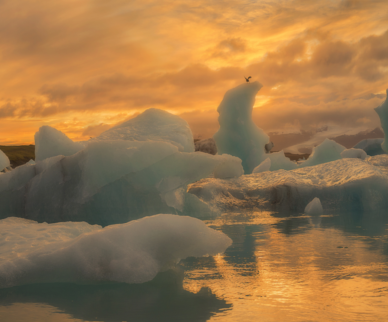 Jökulsárlón Lagoon