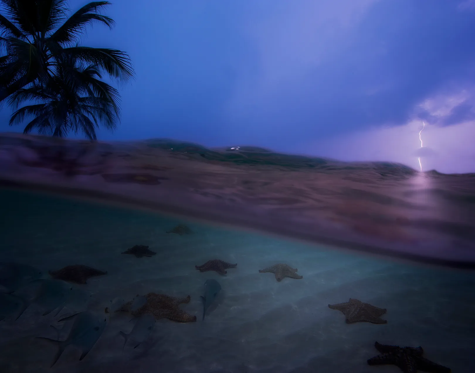 Explore the Islands of San Blas, Panama