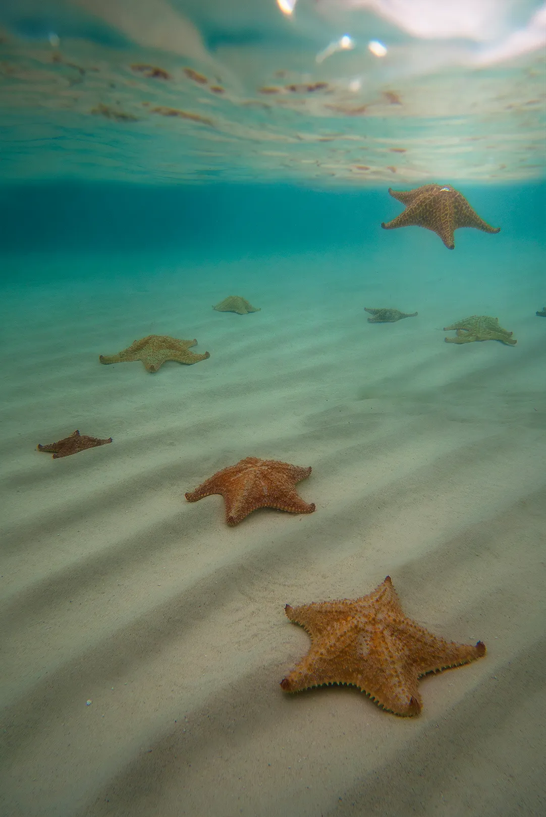Explore the Islands of San Blas, Panama