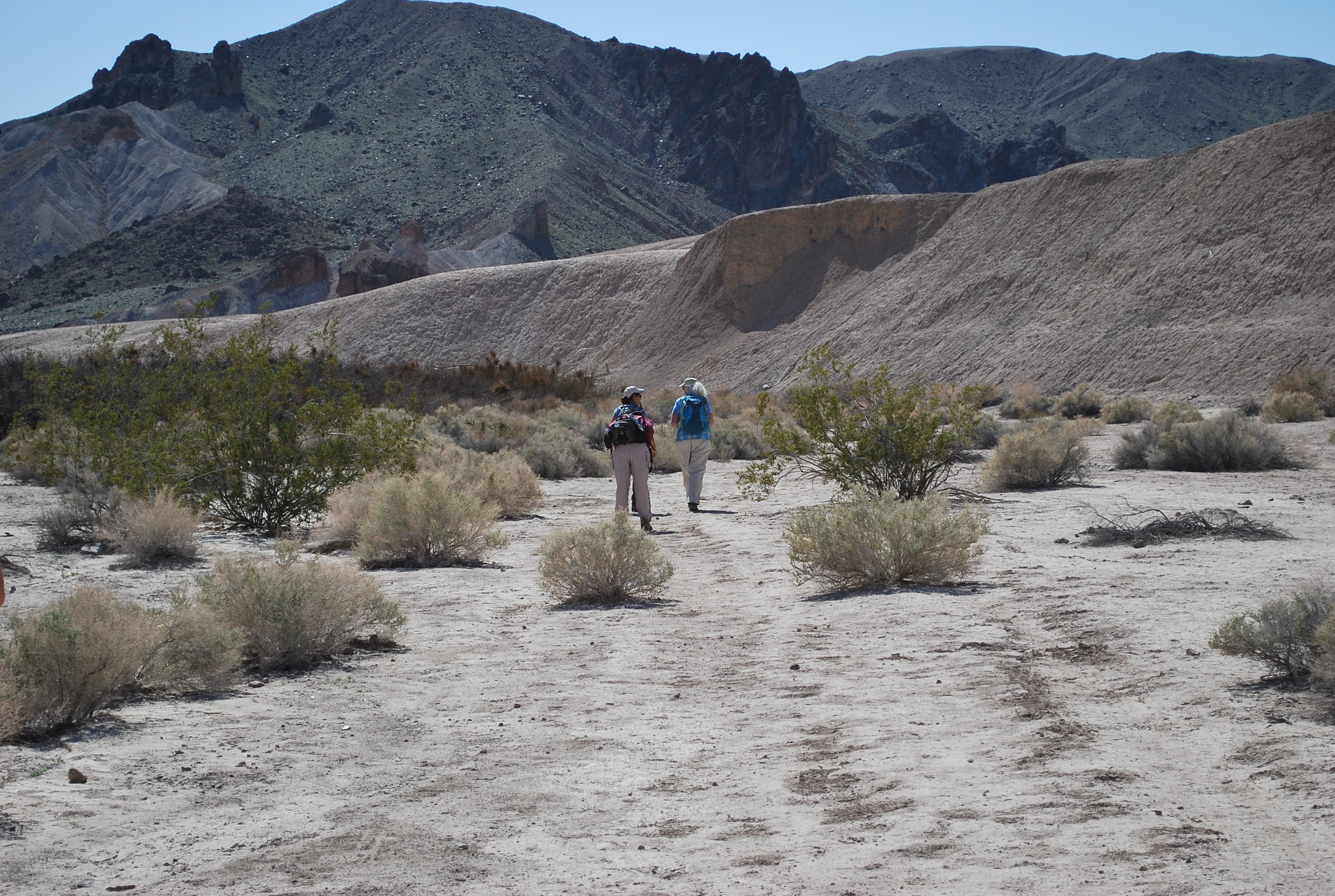 Hike the Amargosa River Trail
