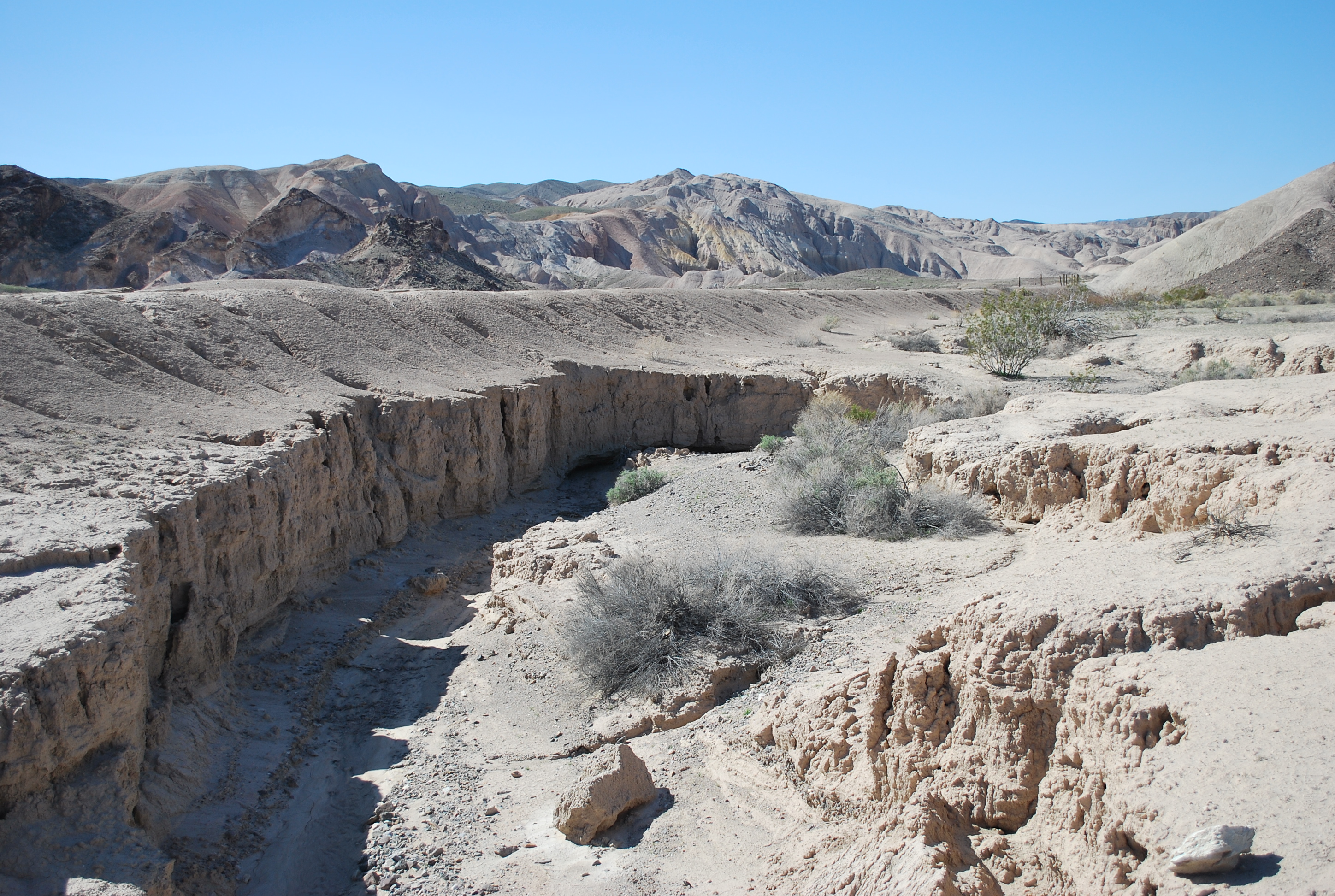 Hike the Amargosa River Trail