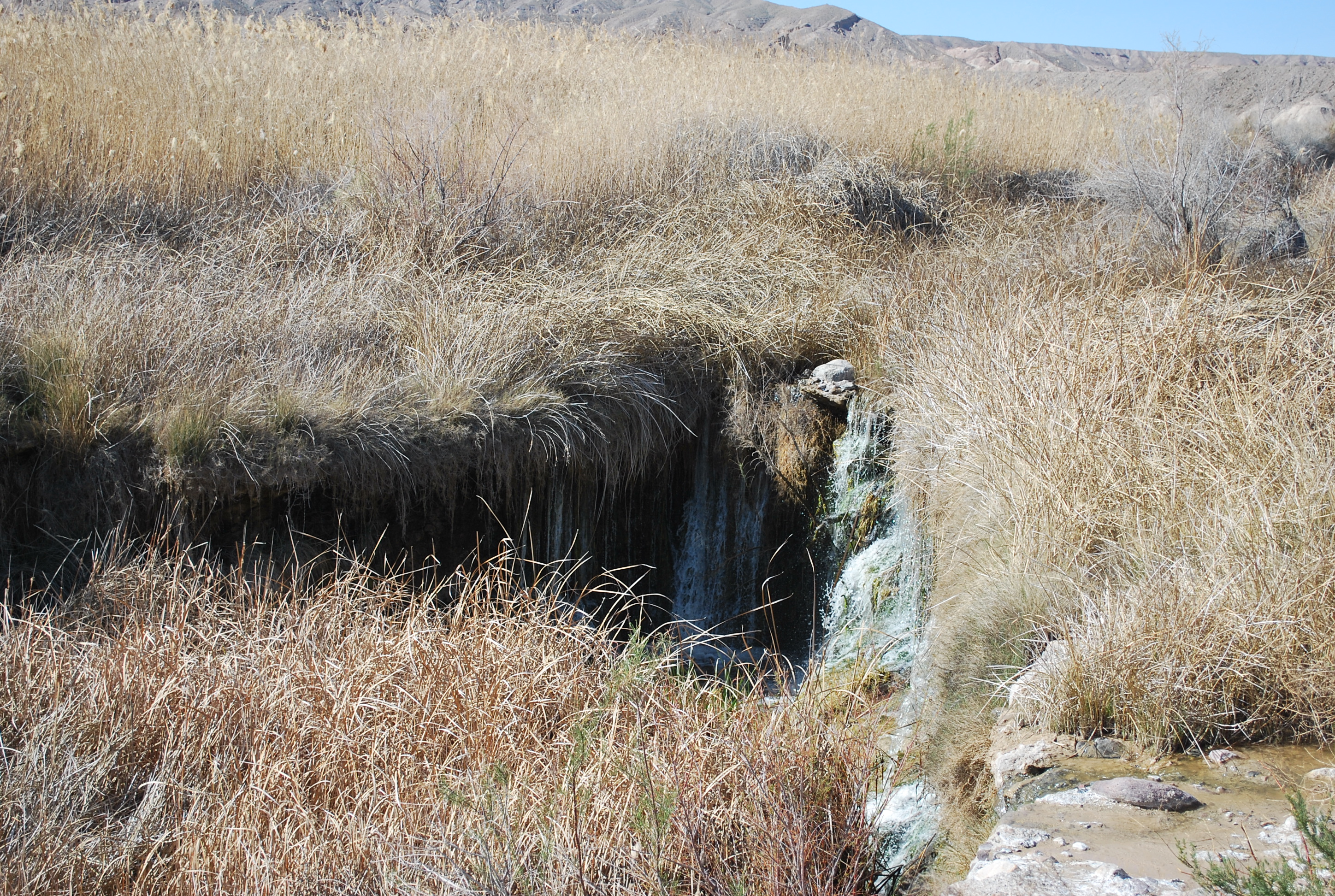 Hike the Amargosa River Trail