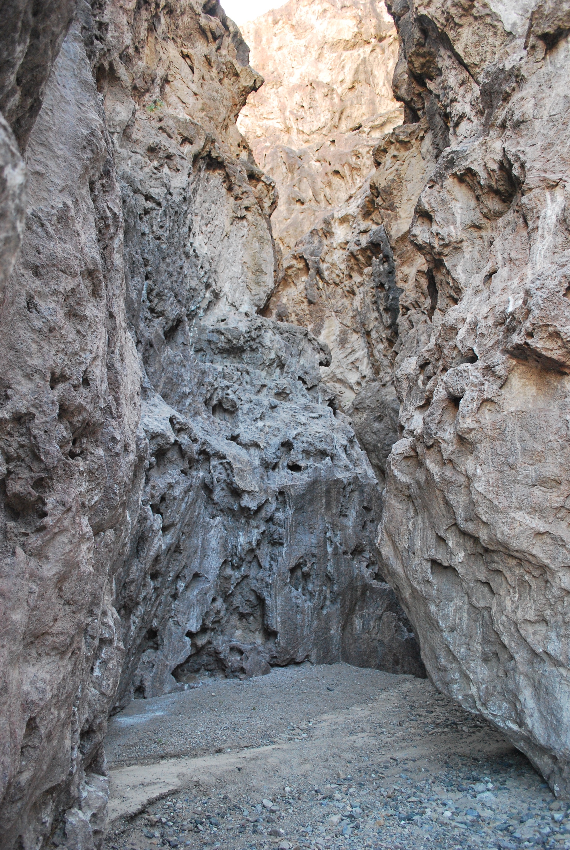 Hike the Amargosa River Trail