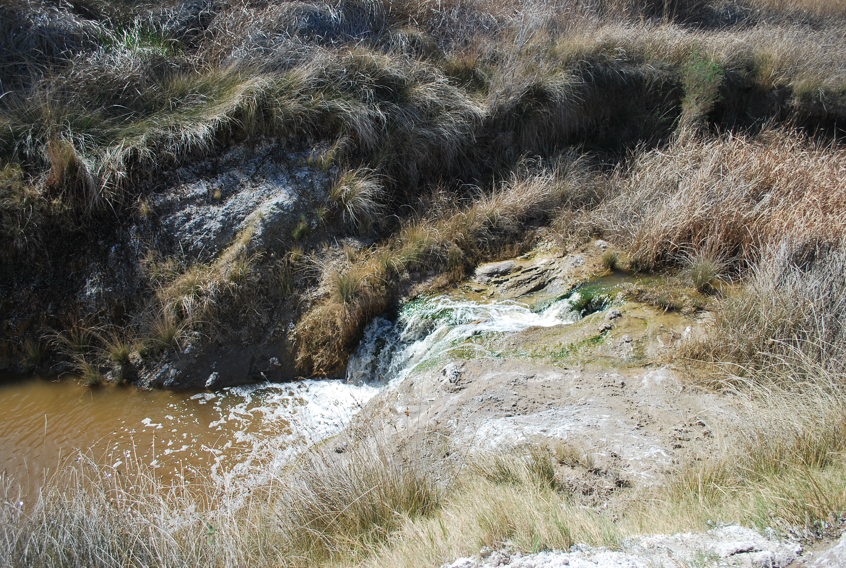 Hike the Amargosa River Trail