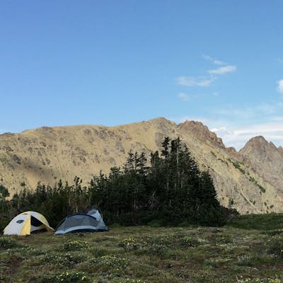 Marmot Pass via Big Quilcene Trail