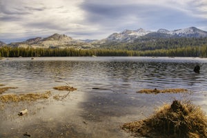 Grouse, Hemlock, and Smith Lake