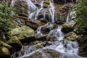 Catawba Falls