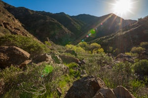 Hiking the Piru Creek Gorge Trail